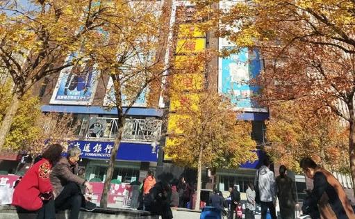 太原服裝城老年活動中心秋色宜人，放眼望去一片金黃 新聞資訊 第2張